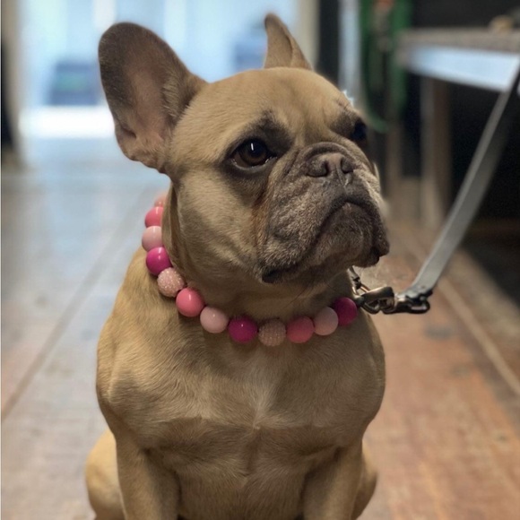 Handcrafted Beaded Dog Collar - Penelope - Beaded Acrylic Beads - Picture 6 of 16